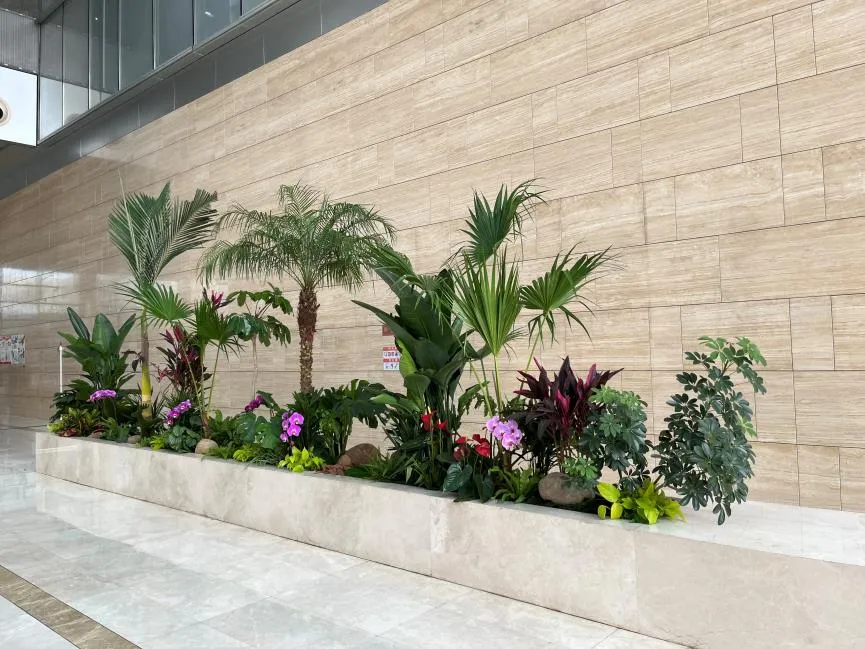 杭州湾花卉租赁专业